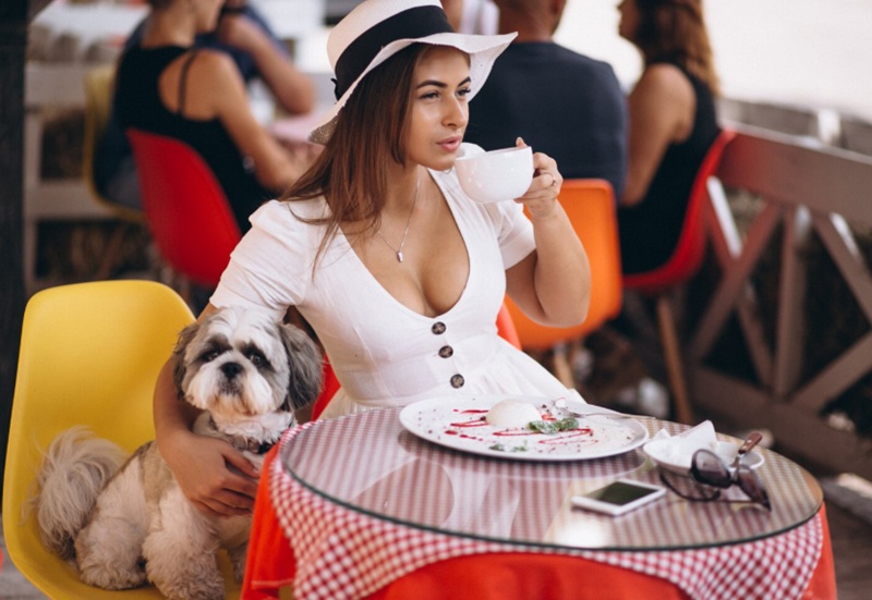 Dog Friendly Pubs