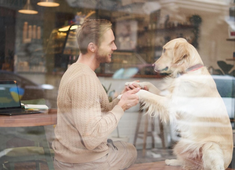 Pub Dogs Customer Experience